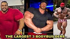 Meet The 3 Biggest Bodybuilders In The World.