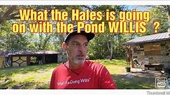 What the Hales is going on with the Pond WILLIS ?