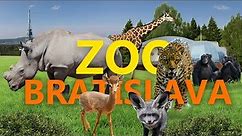 Zoo Bratislava | Zoo-Eindruck
