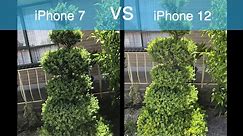 iPhone 12 vs iPhone 7 Camera Comparison