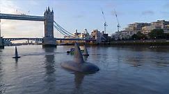 Huge shark fins filmed in River Thames, but it’s not what you think