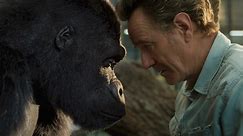 Watch Bryan Cranston Befriend a Gorilla in 'The One and Only Ivan' Trailer
