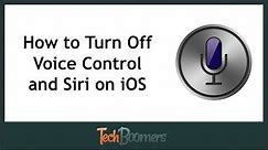 How to Turn Off Voice Control and Siri on iPhone and iPad