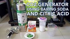 DIY CO2 for Planted Aquarium: Citric Acid and Baking Soda Method