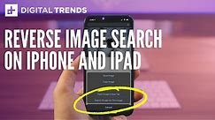 How to reverse image search on iPhone or iPad