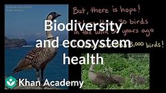 Biodiversity and ecosystem health: a Hawaiian Islands case study | Khan Academy