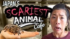 The CRAZIEST Animal Cafe in Japan! | Osaka Travel Guide