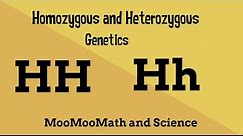 Homozygous vs Heterozygous Genotype