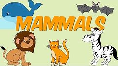 Kids Learn about animals and what is a mammal with examples