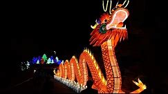 Zoominations - A Chinese Lantern Festival of Lights at Lowry Park Zoo