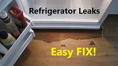 Refrigerator Leaks water. Try This Easy Fix