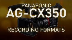 CX350 – Recording Formats