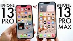 iPhone 13 Pro Max Vs iPhone 13 Pro In 2024! (Comparison) (Review)