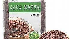 Red Lava Rocks for Plants -100% Pure Volcanic Rock No Dyes or Chemicals-Best Lava Stones Top Dressing for Cacti Succulents Plants,Bonsai