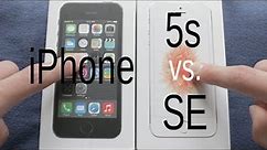 iPhone SE vs 5s (side by side)