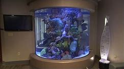 Aquarium Windows | How It's Made