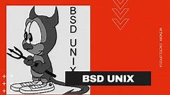 What is BSD Unix?