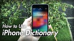 How to Use iPhone Dictionary - Best iPhone Dictionary