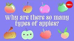 Why are there so many types of apples? - Theresa Doud