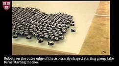 Programmable self-assembly in a thousand-robot swarm