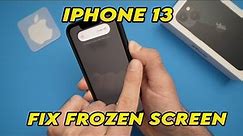iPhone 13 & 13 Mini : Fix Frozen Screen With Force Restart