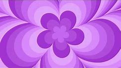 Purple Flower Background Screensaver Loop 1 Hour 1080p HD