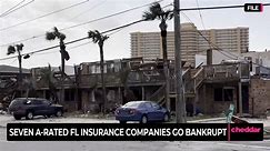 Florida's Home Insurance Crisis Amid Hurricane Threats