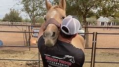 Sport Horse Chiroprwctic | Dr. Mike Adney: Watch this horse as she gets her very first upper neck chiropractic adjustment! I love how she resoonds afterwards! If you have hordes and want to leanr how you can help them feel their best, checkout my Equine Stretching Mastercass at the link in my bio! #horse #chiropractor #chiropractic #adjustment #sporthorsechiropractic