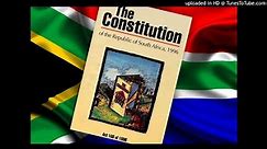 Litigation by Natural Persons and Juristic Persons Constitutional Law South Africa