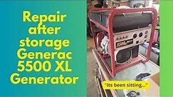 Repair after storage Generac 5500XL Generator