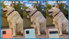 Google Pixel 6 Pro vs Pixel 5 vs Pixel 4 XL Camera Comparison | December camera update!