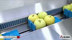 Sustainable packaging for fruits and vegetables - ULMA Packaging