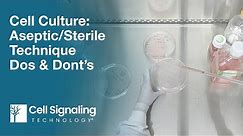 Cell Culture: Aseptic/Sterile Technique Dos & Don’ts | CST Tech Tips