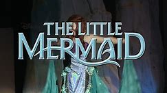 The Little Mermaid WT23