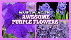 120 PURPLE FLOWERS WITH THEIR NAMES | #PurpleFlowers