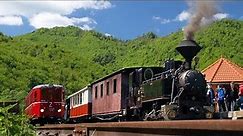 Čiernohronská železnica / Waldbahn in Čierny Balog, Slowakei / Feketegarami Vasútvonalon