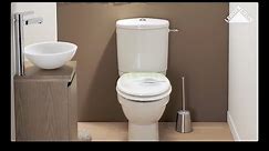 How to replace a toilet flushing system