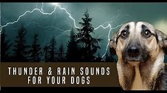 Storm, Thunder and Rain Sound Dog Desensitization Sound Noise for Puppy Dog Socialization