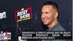 Mike ‘The Situation’ Sorrentino sentenced to 8 months