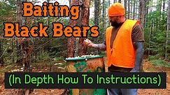 Black Bear Baiting! (an in depth how to video)
