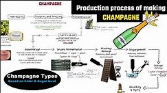 Champagne making process // champagne vs sparkling wine // How to make sparkling wine //
