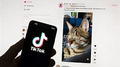Is TikTok going to be banned?