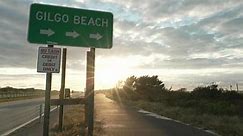 The Gilgo Beach Serial Killings