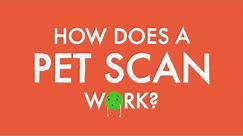 How does a PET scan work?