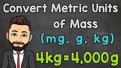 Metric Units of Mass | Convert mg, g, and kg