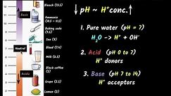 Properties of acid/bases & pH importance | Acids, bases, & salts | Chemistry class 10 | Khan Academy
