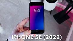 iPhone SE (2022) REVIEW - Still Worth Buying?