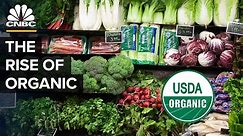 Is Organic Food Really Worth It?