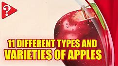 11 Different Types and Varieties of Apples