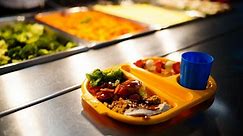 Health experts call for universal free school meals to tackle food poverty